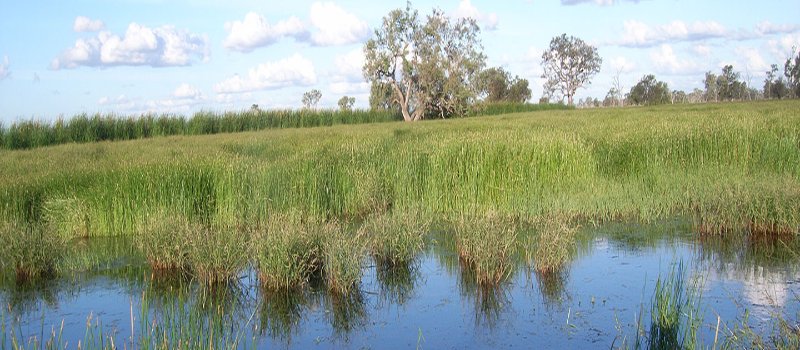 Gwydir SCA Bunnor. Credit: S. Bowen