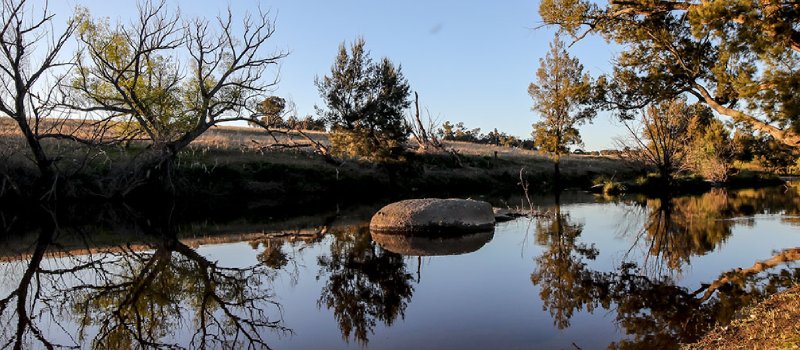 Public notices banner
