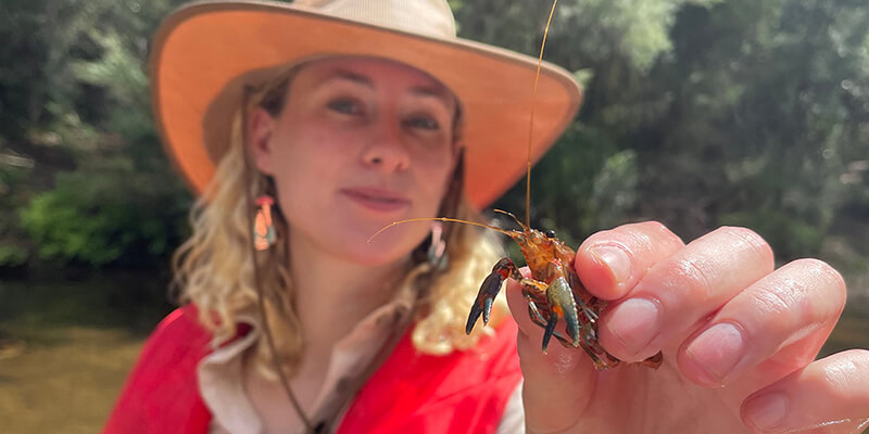 Dr Sarah O’Hea Miller with a small spiny freshwater crayfish