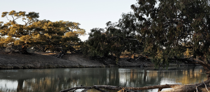 Morning sun over the Darling River.