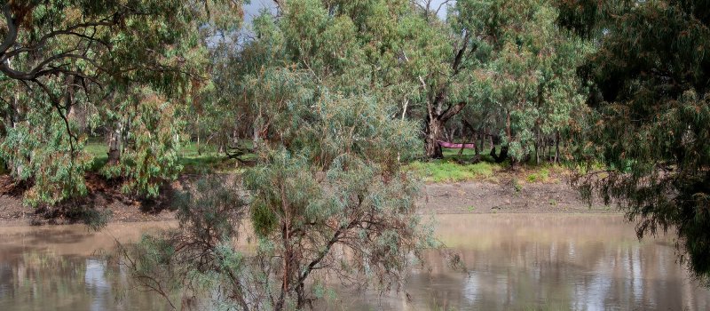 Darling River near Pooncarie