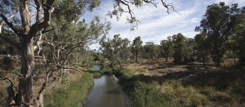 Mandagery Creek in Manildra, NSW