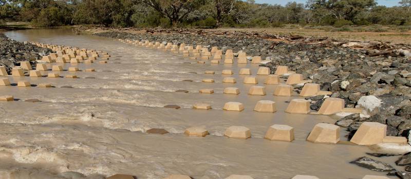 Fish ladder at Toorale