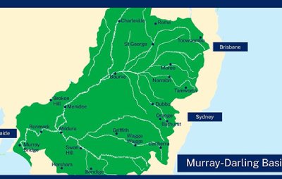 Decorative - video thumb