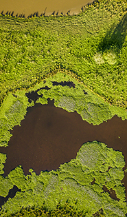 Oakhampton Floodway.