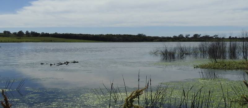The Hawksbury, east of the causeway.