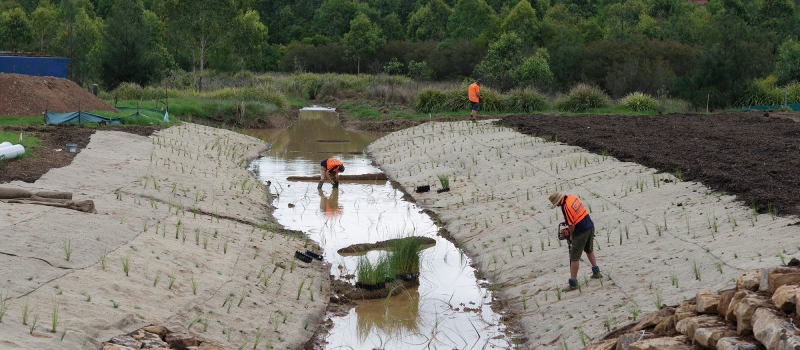 Workers inspect the ground water at Balmoral Precinct