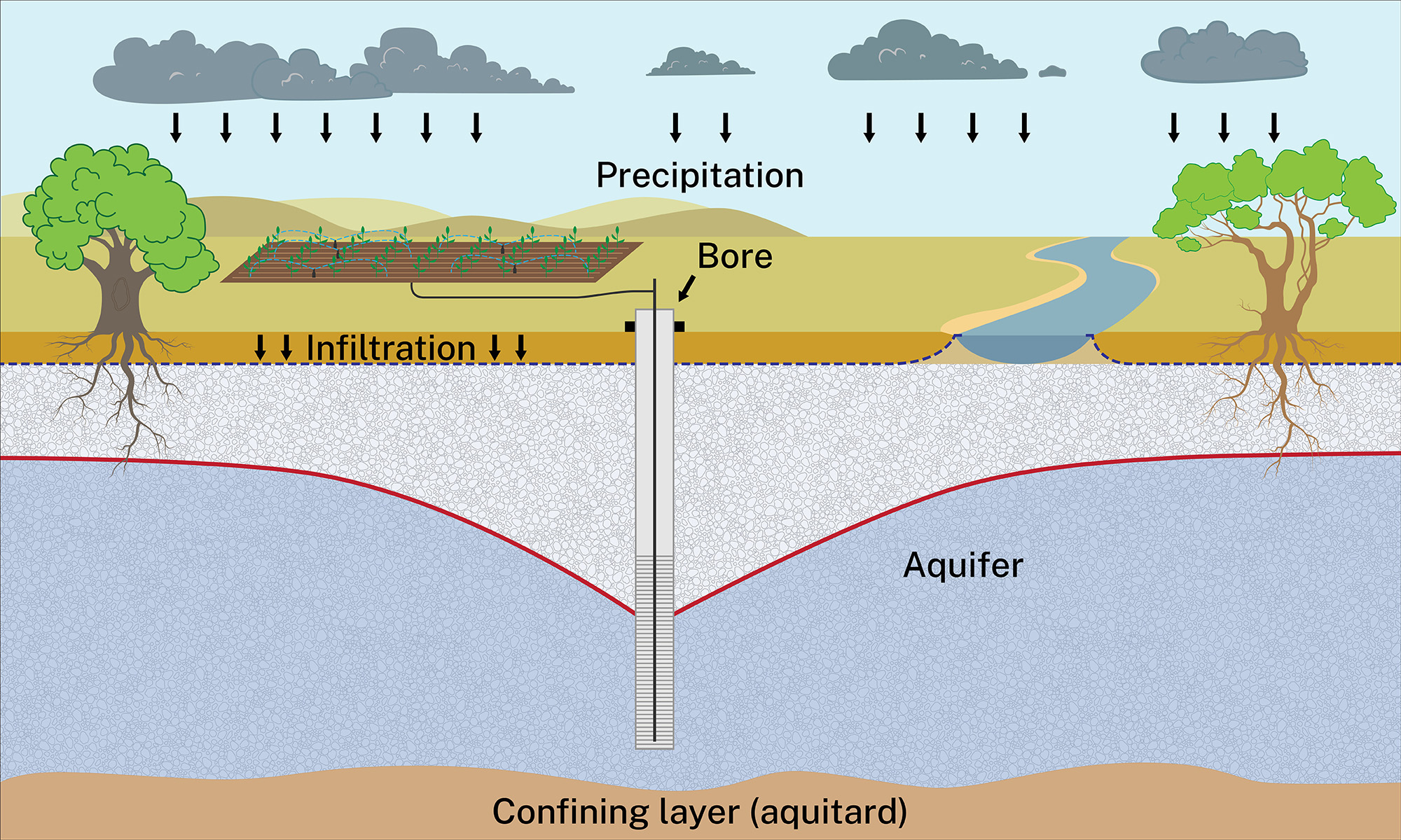 Groundwater system explained in a diagram