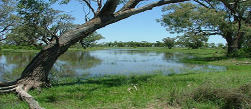 Whittakers Lagoon along Mehi River, Gwydir