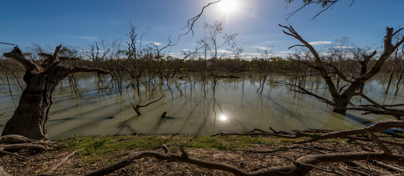 Morton Boulka picnic area