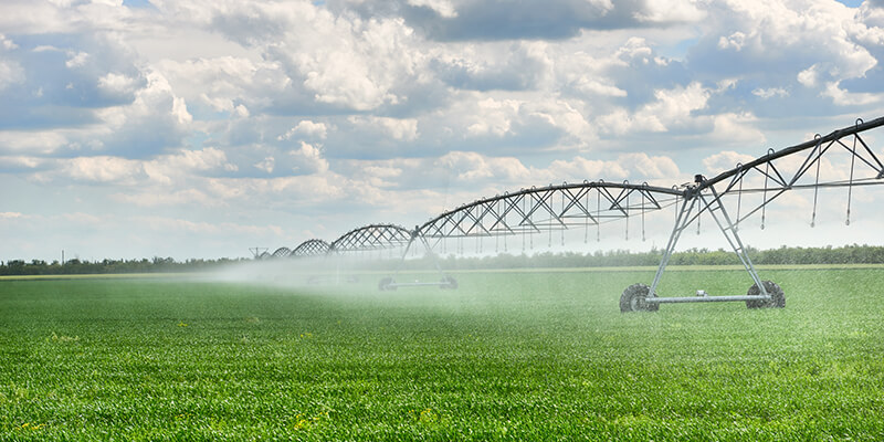 Crop irrigation.