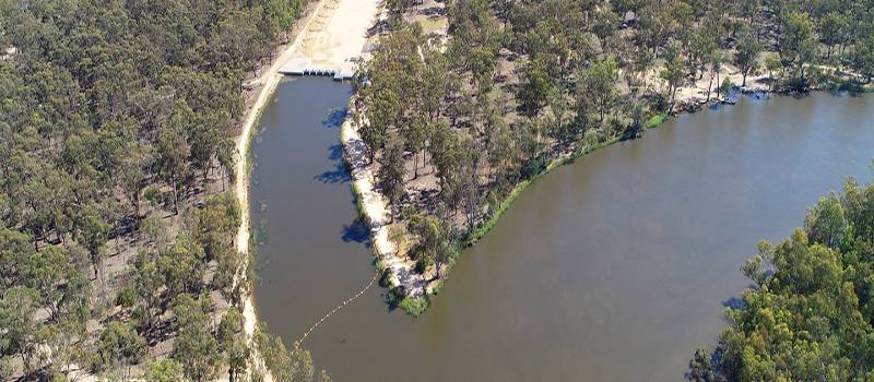 River red gums in Perricoota-Koondrook Forest.