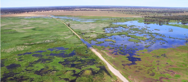 Gibson Way Monkeygar Creek crossing - Macquarie Marshes  Mandatory Credit: Nicola Brookhouse/DCCEEW