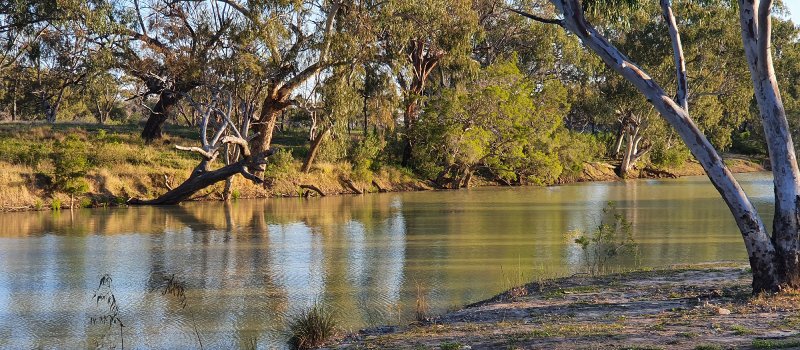 Barwon River at Collarenebri