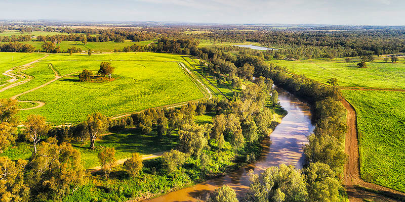 Brown river running through green fields 