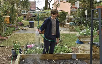 Boy watering garden in Burwood Inner West Sydney, NSW.