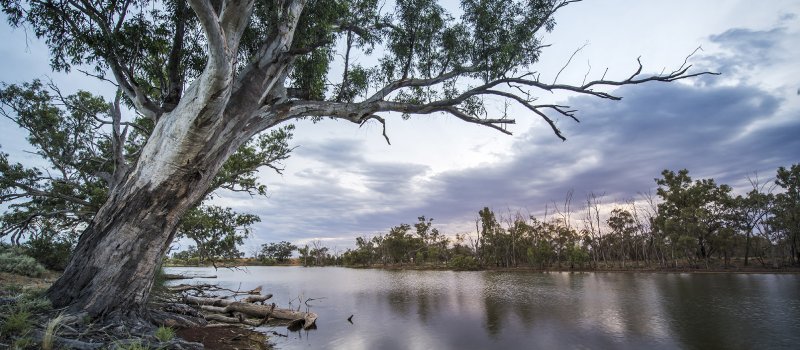 River Sunset, Mid Murray River.