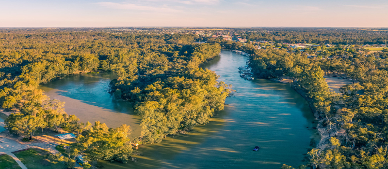 The Murray River at Moama in New South Wales.