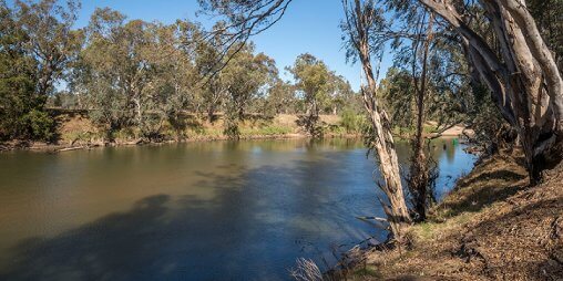 River with trees on the bank