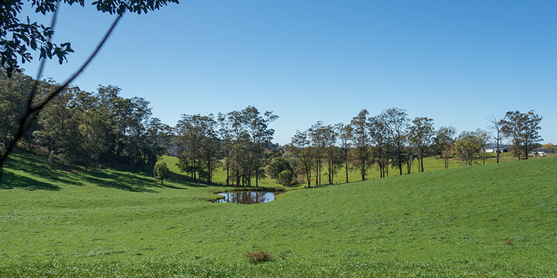 Dam on the north coast, NSW.