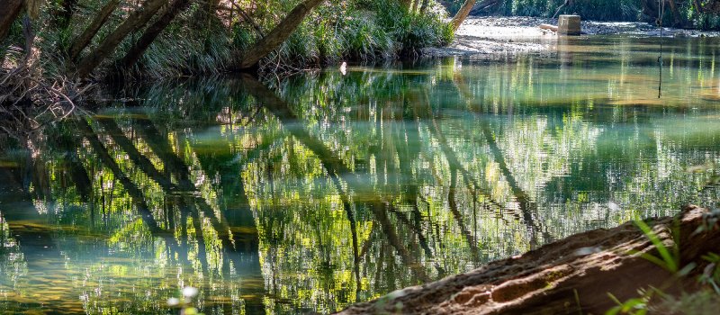 Never Never River, Bellingen - Image credit: Mel Bradbury