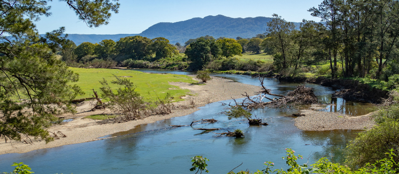 The Belligen River on a sunny day, NSW.