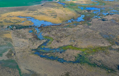 Gwydir Wetlands waterbird breeding grounds Environmental Water and Floodplains Moree, farms and agriculture.
