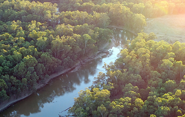 Sunsetting over Darlington Point in Cookoothama.