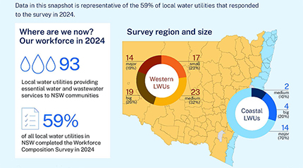 Snapshot of the local water utility sector in NSW.
