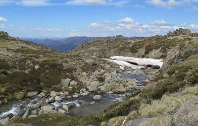 Snowy Montane environmental flows.