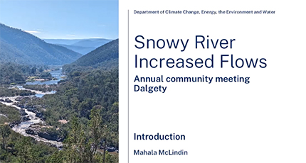 Snowy River Increased Flows presentation one