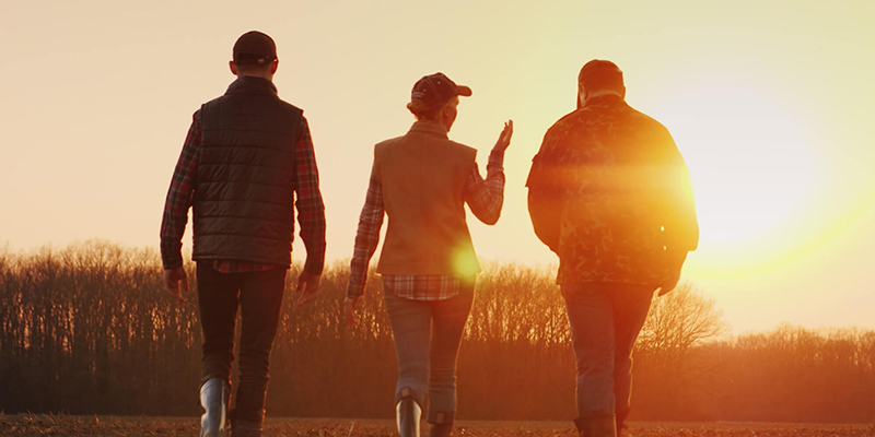 Three farmers walking into a sunset