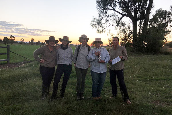 A field team working on the vegetation study