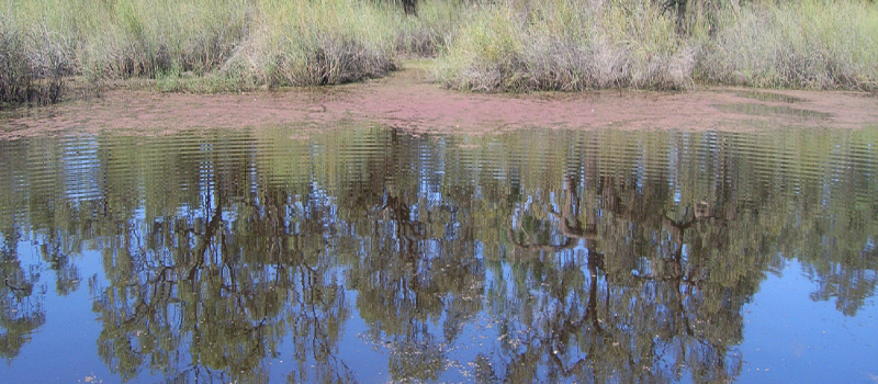 Samples taken for water quality testing.