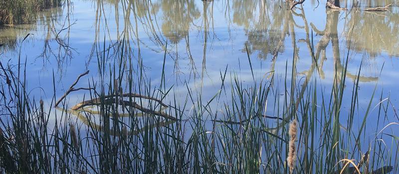 yanco-modernisation-