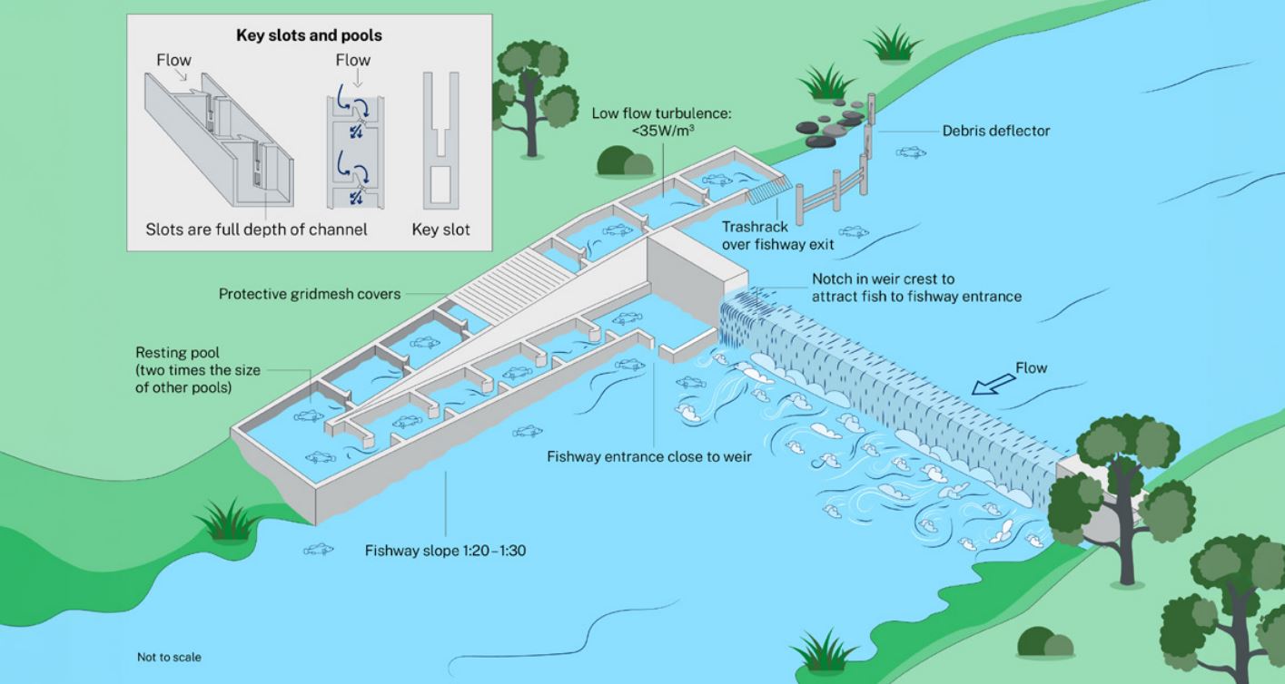 Conceptual layout of a vertical slot fishway