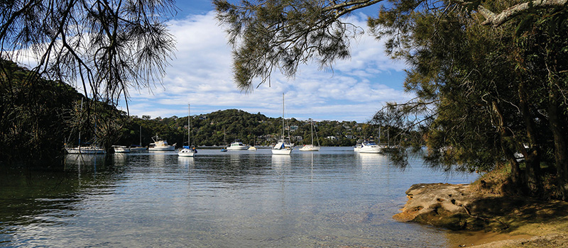 Harbour with boats