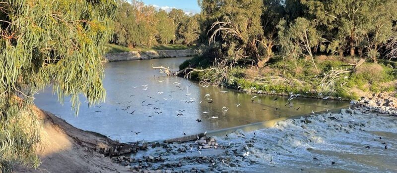 Northern-Basin-Connectivity-program