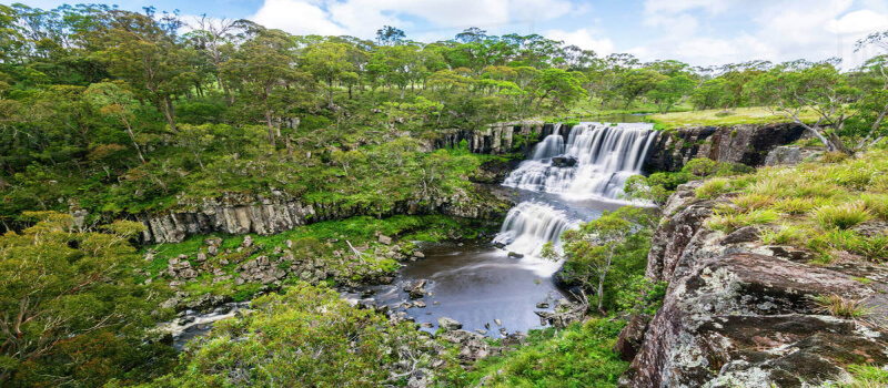 Aboriginal engagement banner