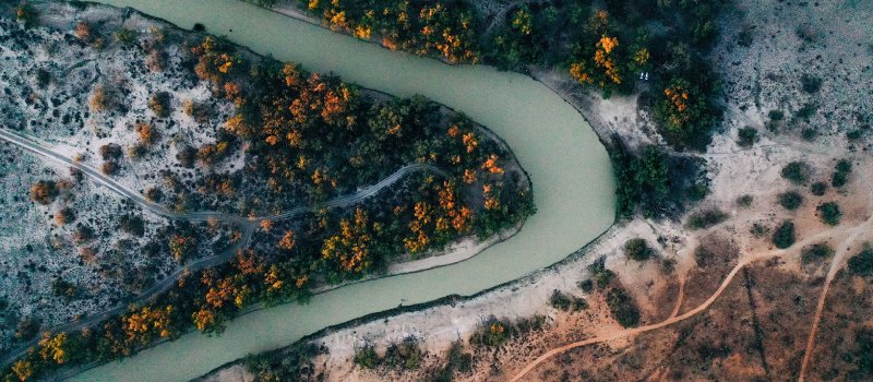 Baaka River aerial with yellow flowers in bloom