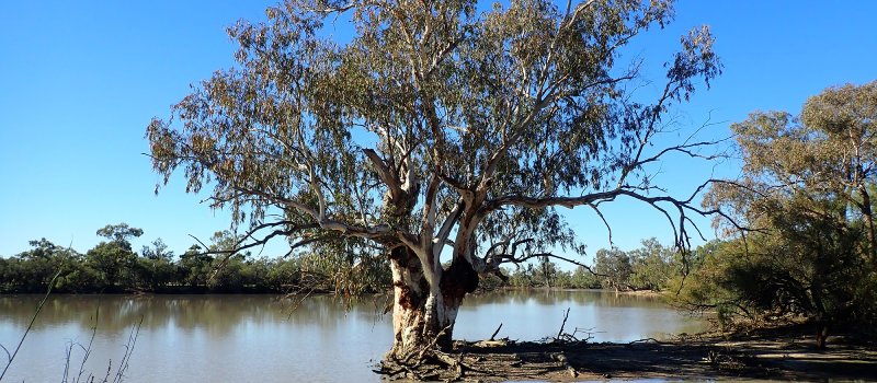 Paroo River.