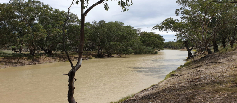 Barwon River near Brewarrina, NSW.