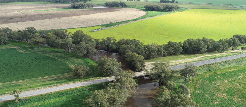 Beavers Creek off Murrumbidgee near Collingullie.