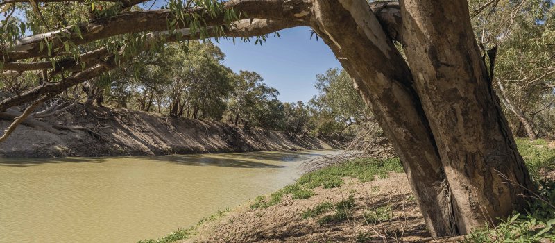 Darling River at The Coach and Horses Campground Wilga Station near Wilcannia. The only unregulated section of the Murray Darling Basin.