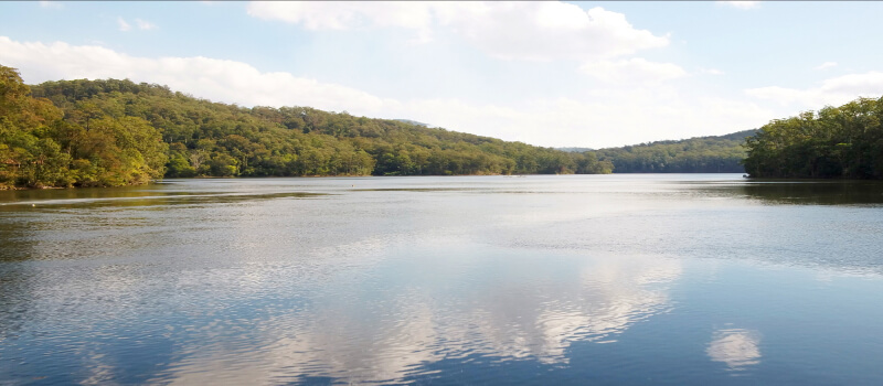 Chichester Dam in the Hunter region.
