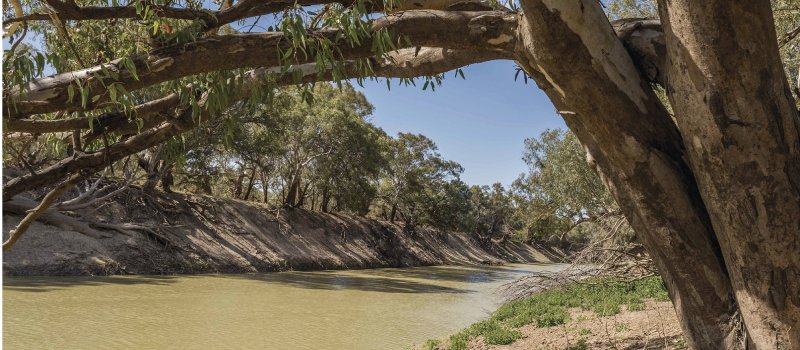 Darling River at The Coach and Horses Campground Wilga Station near Wilcannia