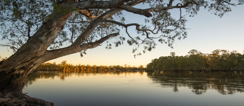 Sunset over the wetlands in the Riverina - Image credit: John Spencer