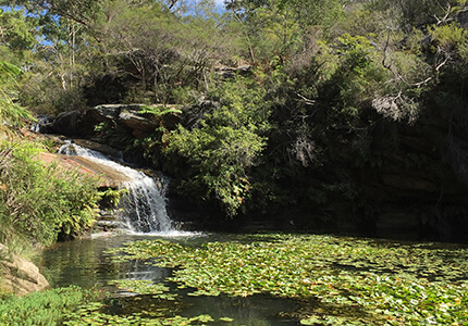 A beautiful waterfall.