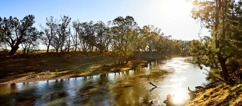 Afternoon sun shining over the Macquarie River near Dubbo.
