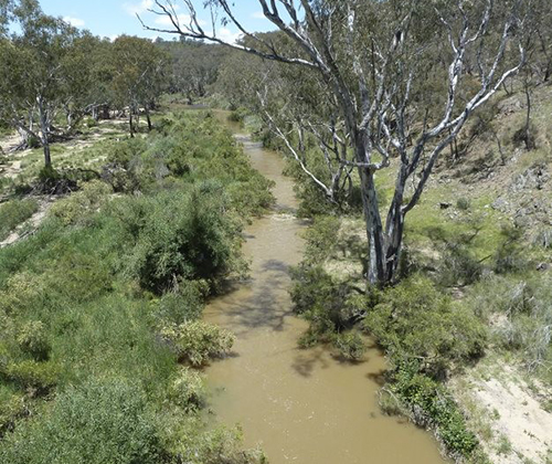 Lachlan River courtesy of Peter Simpson.
